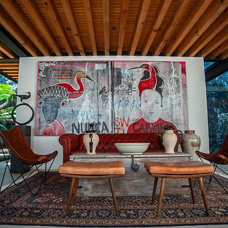 Casa Carmen Xolotl Hotel Oaxaca Екстериор снимка