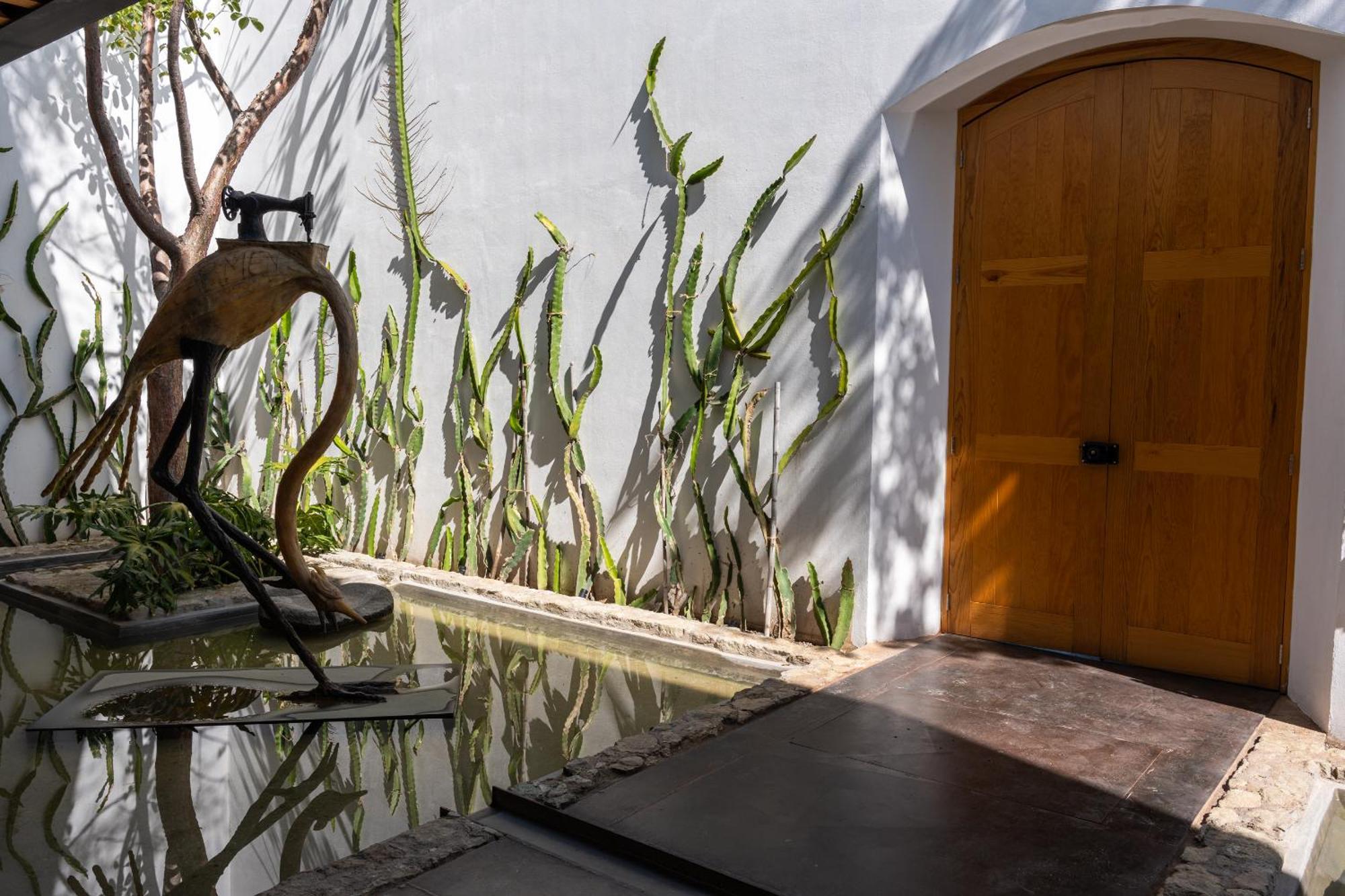 Casa Carmen Xolotl Hotel Oaxaca Екстериор снимка
