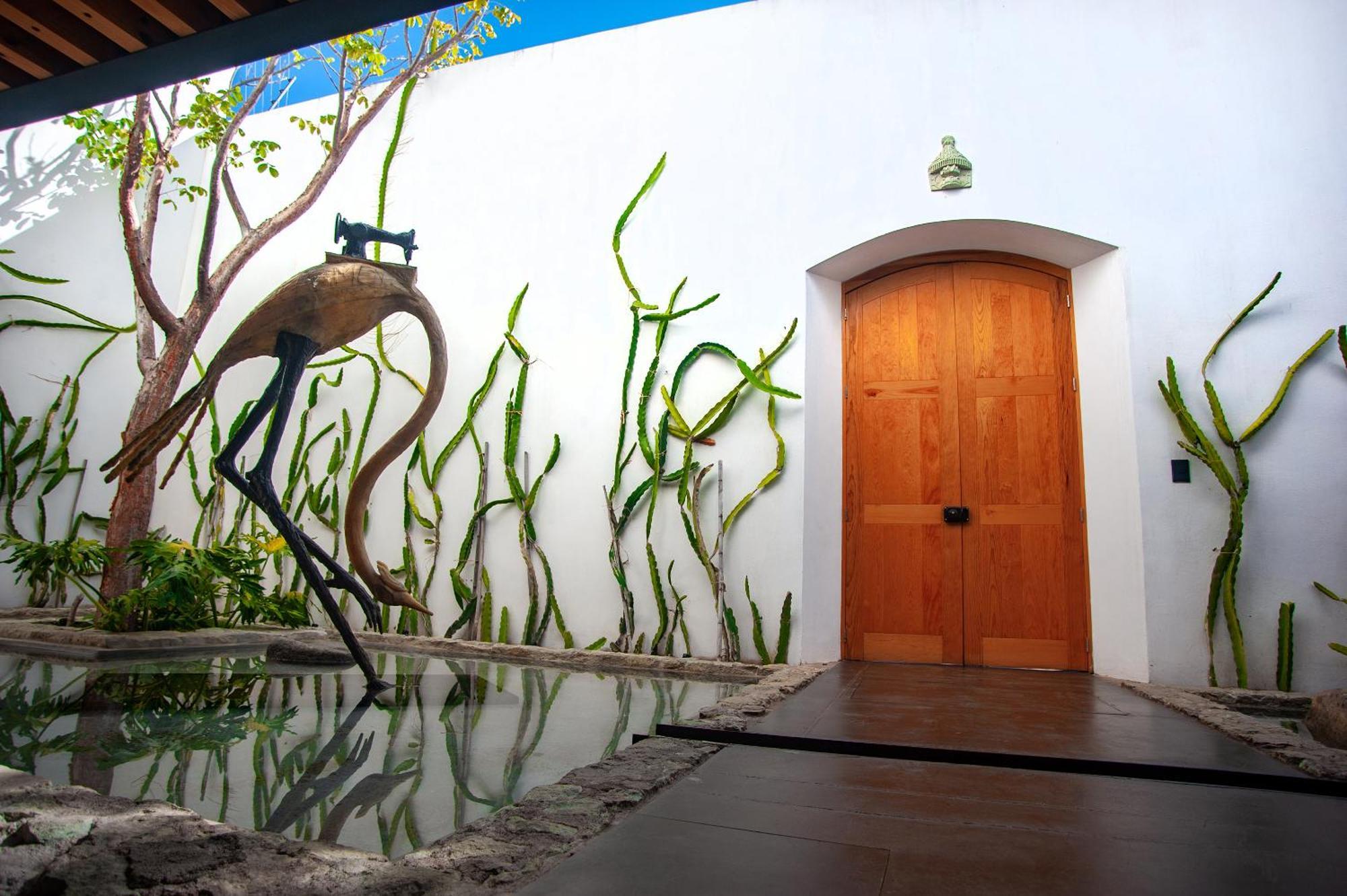 Casa Carmen Xolotl Hotel Oaxaca Екстериор снимка